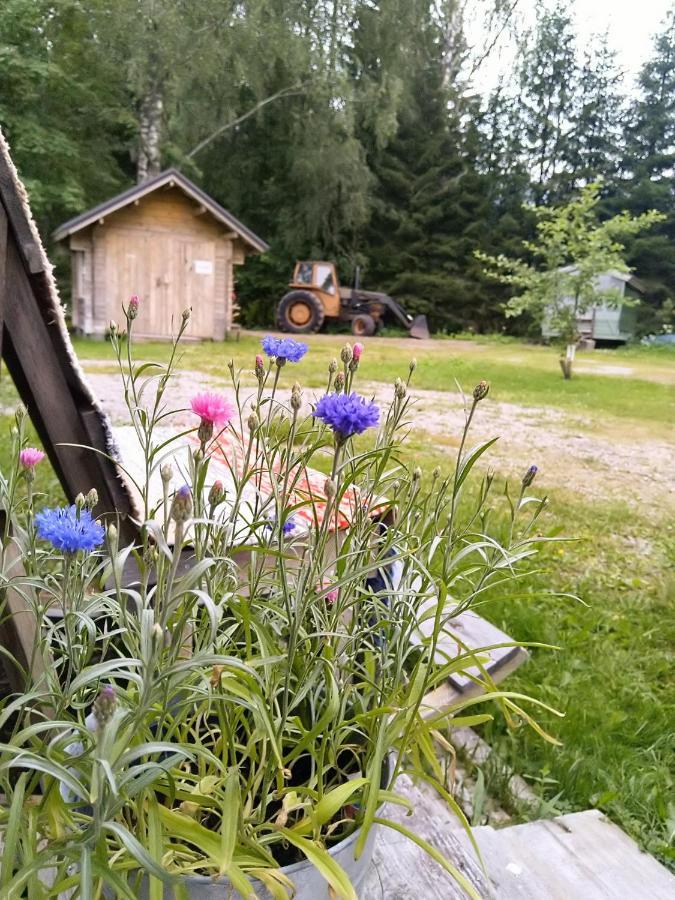 Kulttuurikartano Pekan Pirtit Haapavesi Luaran gambar